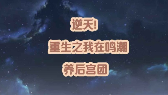 大黄蜂-逆天！重生之我在鸣潮养后宫团
