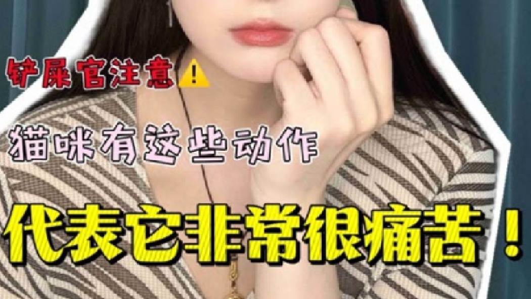 这条视频也许能救猫一命！铲屎官要注意！