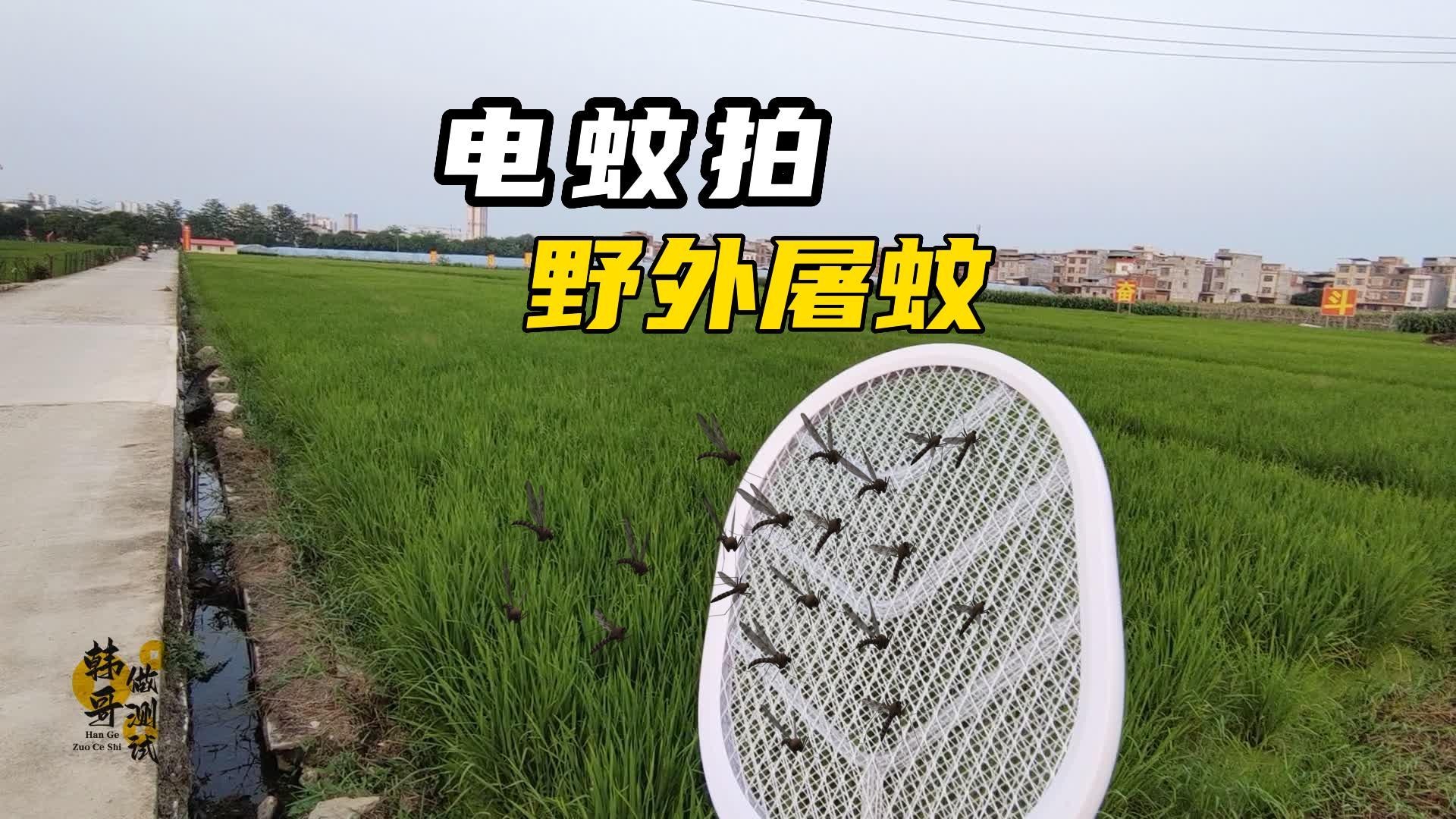 当我拿上电蚊拍来到蚊子的老巢，猎杀时刻已到！