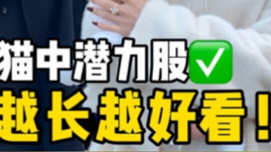 选到就是赚到 这几种猫长大颜值逆天