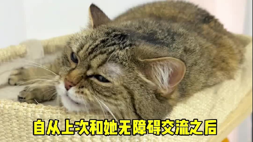 原来是田猫姑娘啊！ 今天我是不得不信了。