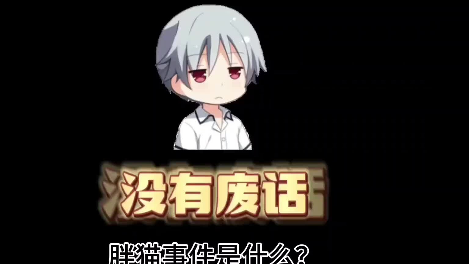 最近的胖猫事件是怎么回事？胖猫事件完整版