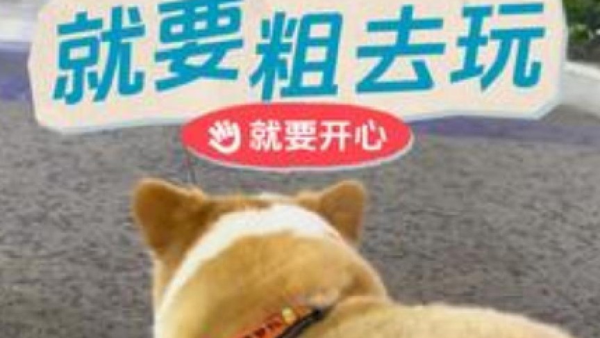 一定要看到最后系列~