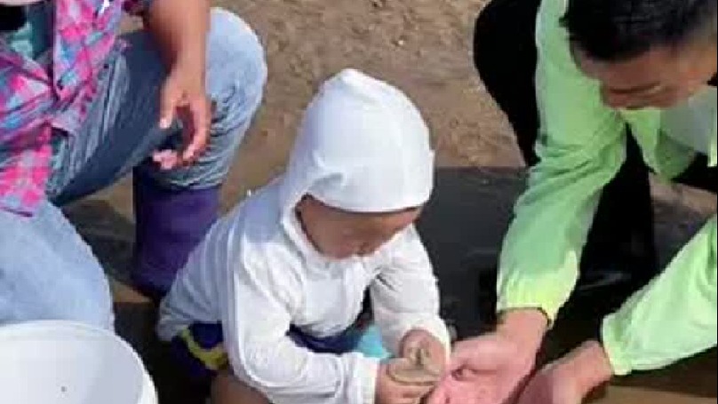 赶海的日常生活