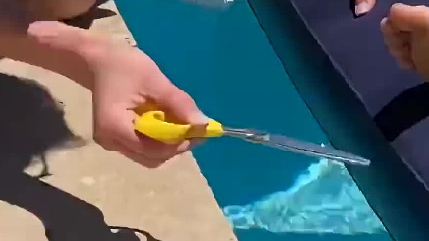 看看外国父母是怎样教训懒惰的女儿，不得不说女儿好白呀