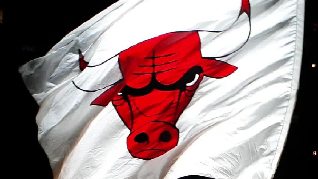 你还知道公牛队什么有趣的知识呢？