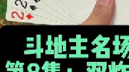 斗地主名场面第8集：叫分太嚣张操作农民火箭两炸围堵