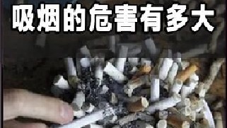 为何一盒烟的容量是二十只？这其实是科学家精心计算出来的！