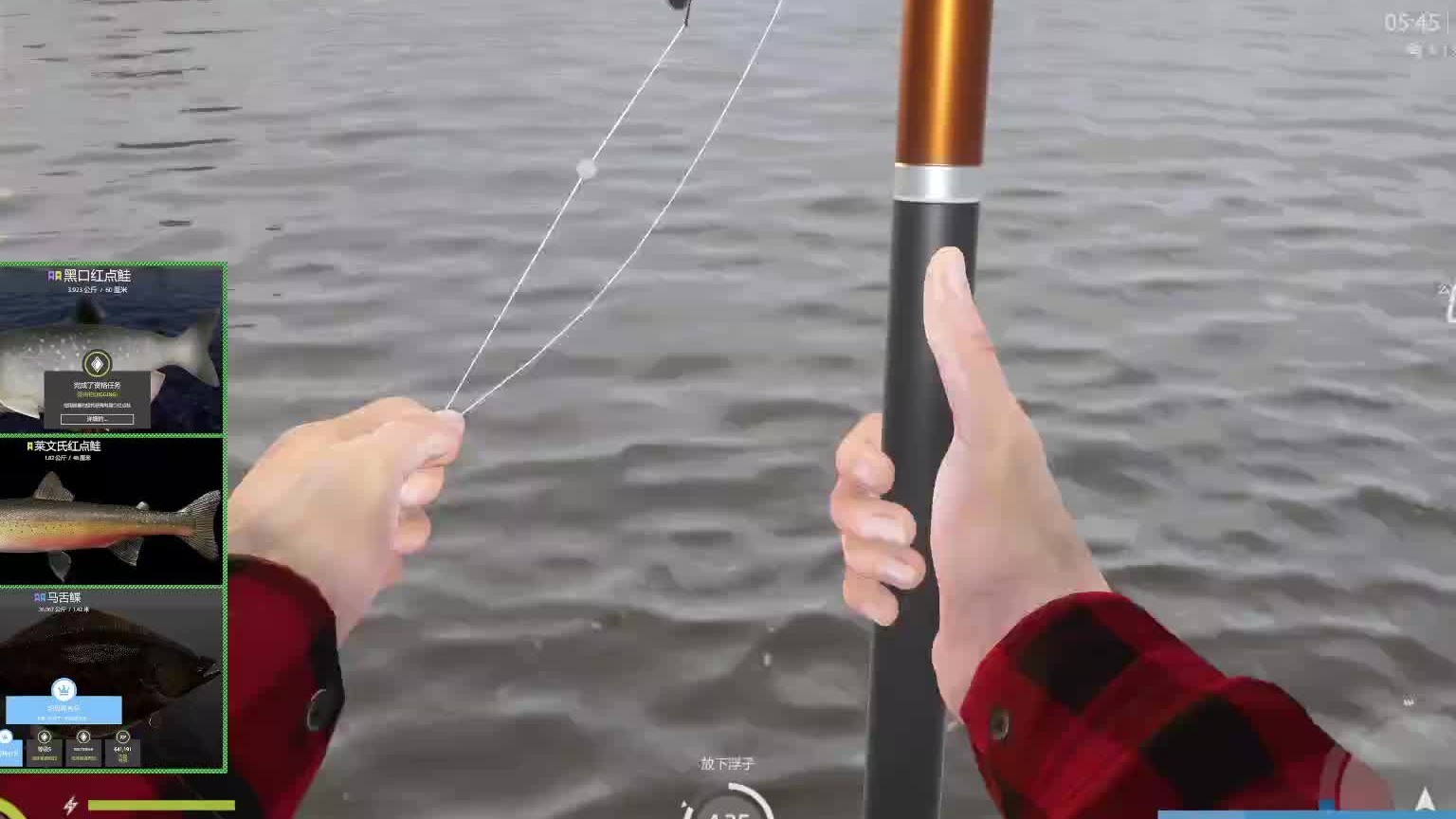 手竿二连星文鳊