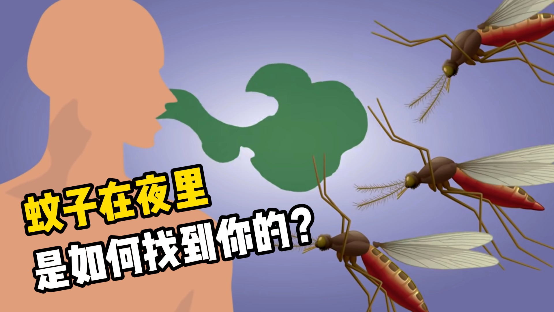 蚊子在漆黑的夜里，究竟是怎么找到你的？今儿知道了
