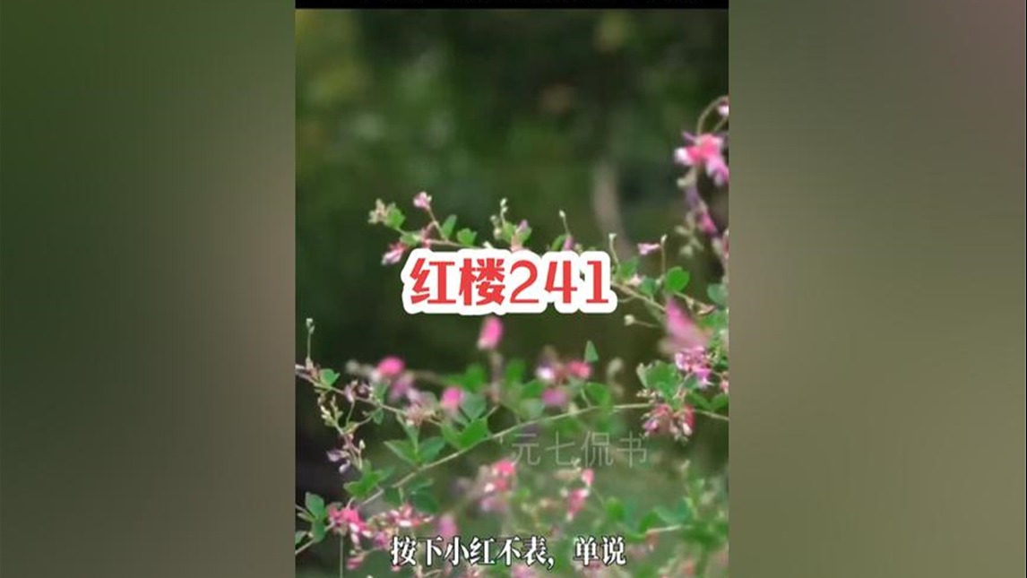 241.如何从别人口中知道自己想知道的，看看小红怎么做的？ #四大名著