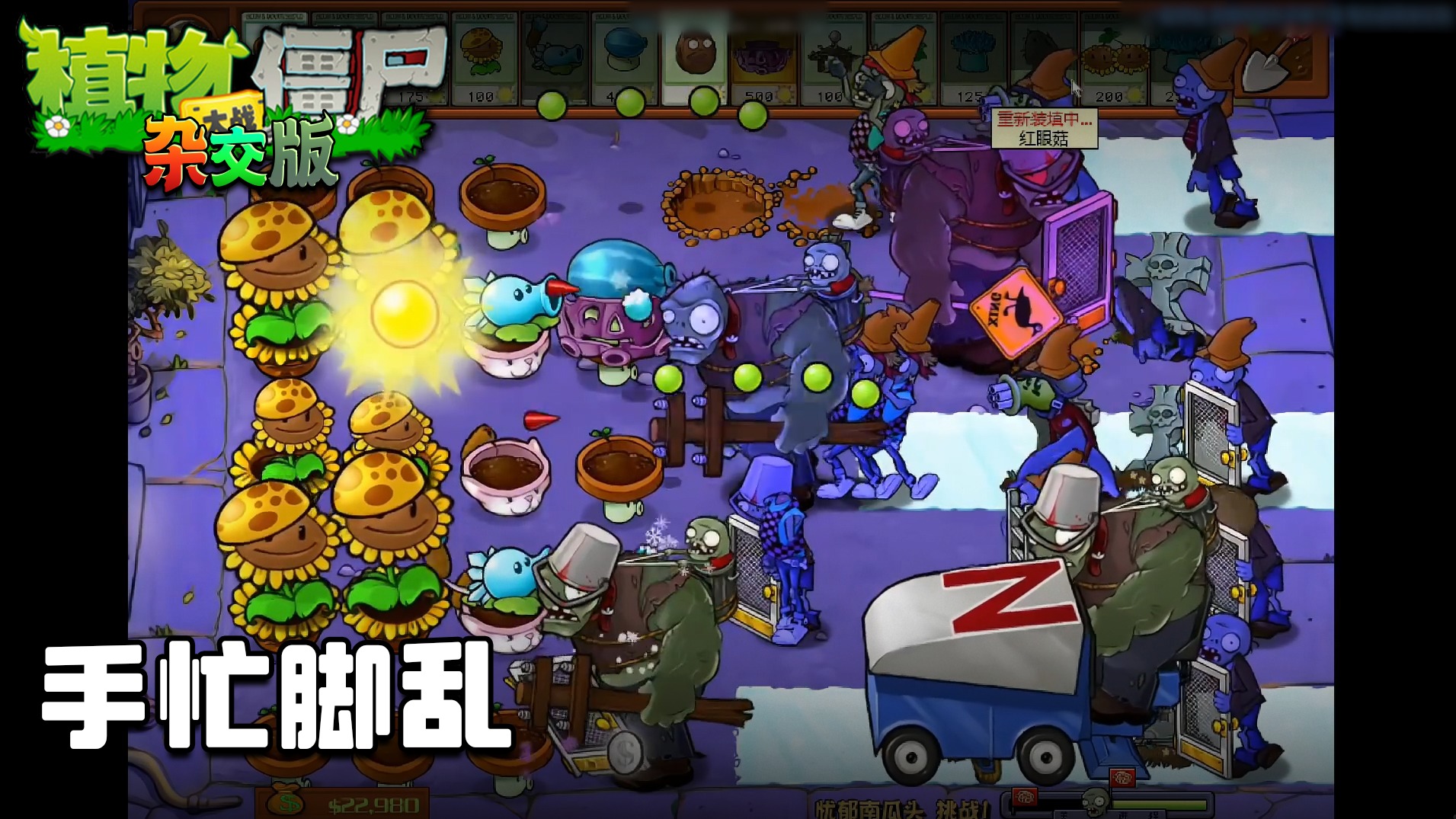 董小飒《植物大战僵尸杂交版》实况第六集：手忙脚乱