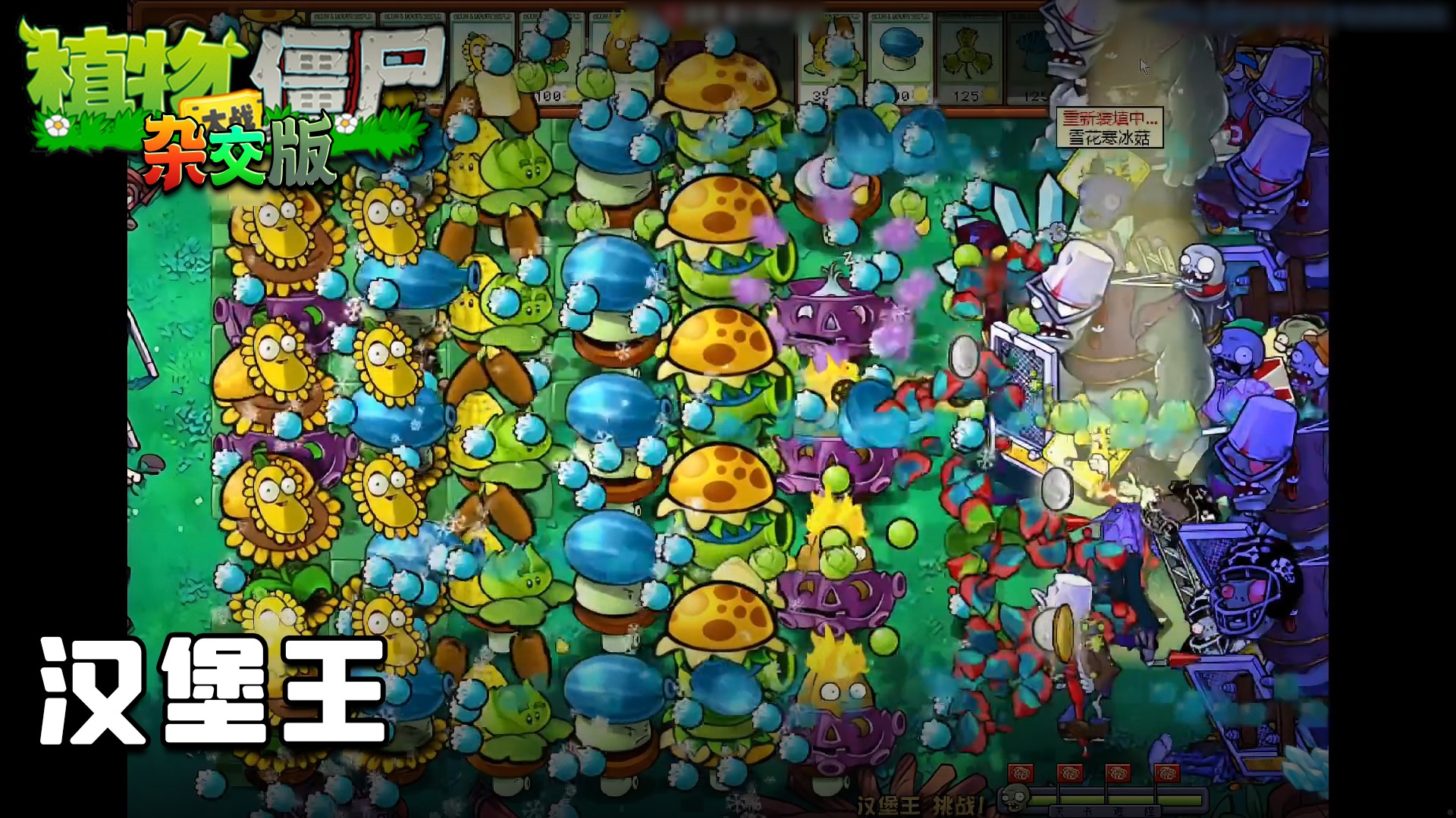 董小飒《植物大战僵尸杂交版》实况第十四集：汉堡王