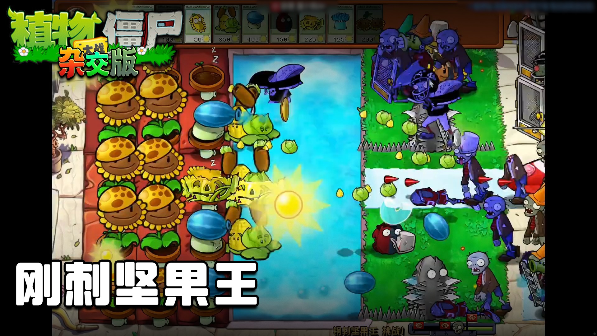 董小飒《植物大战僵尸杂交版》实况第二十集：刚刺坚果王
