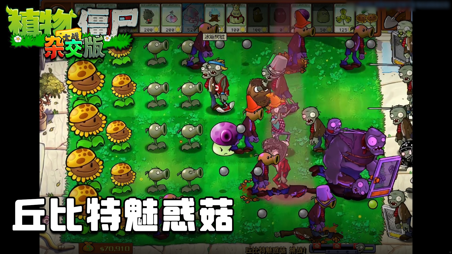 董小飒《植物大战僵尸杂交版》实况第二十二集：丘比特魅惑菇