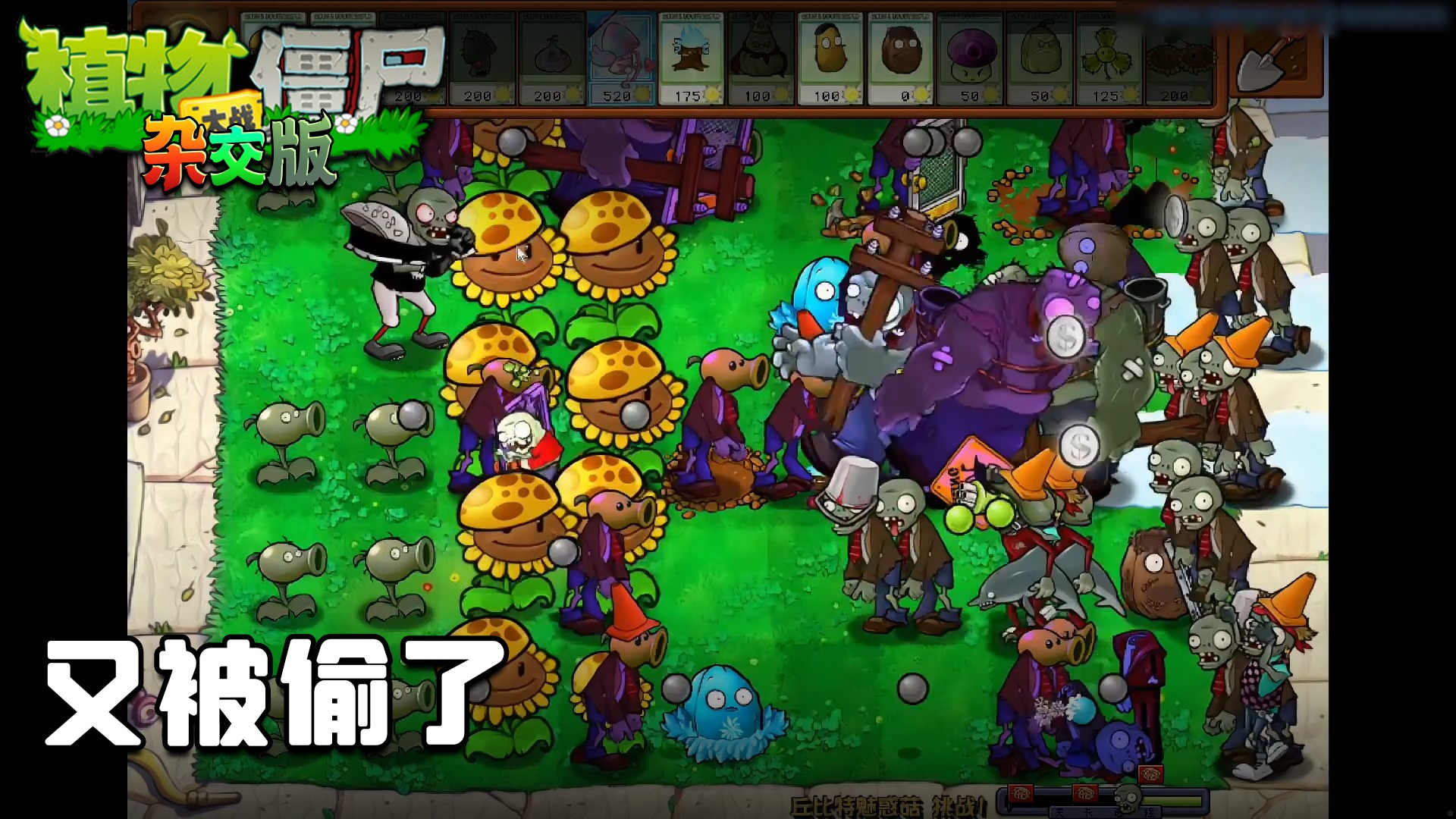 董小飒《植物大战僵尸杂交版》实况第二十八集：又被偷了