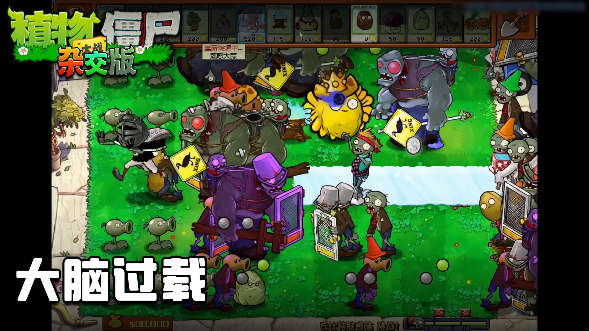 董小飒《植物大战僵尸杂交版》实况第二十五集：大脑过载