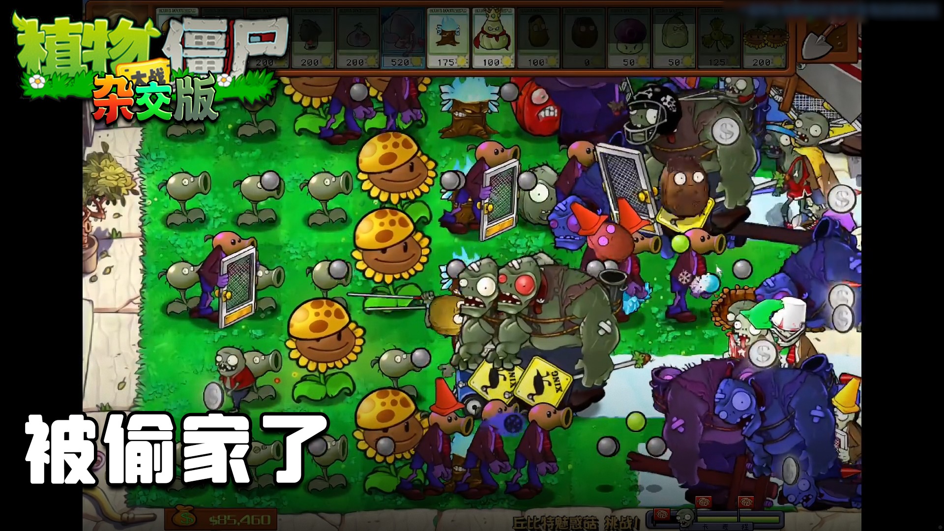 董小飒《植物大战僵尸杂交版》实况第二十七集：被偷家了