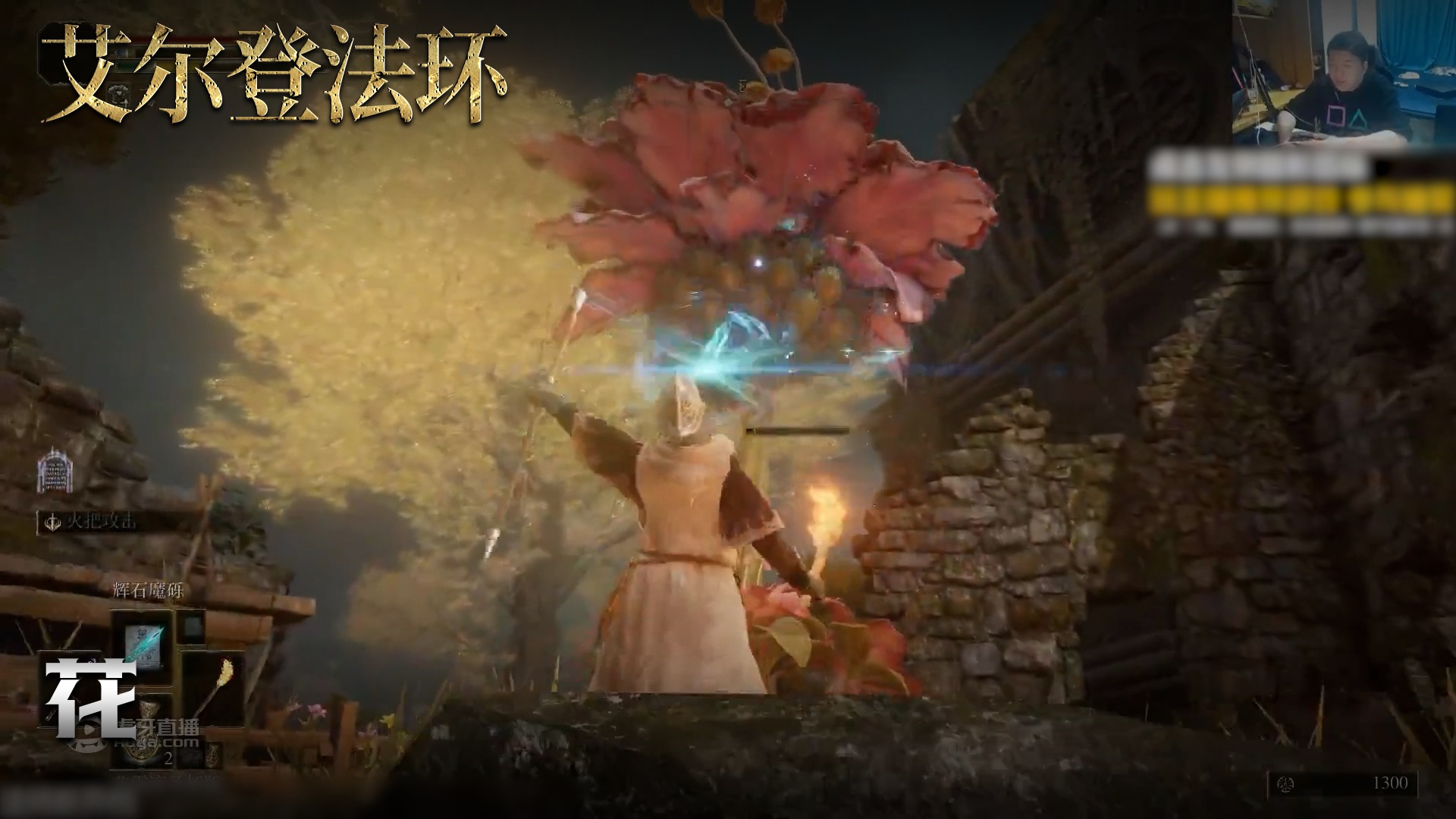 老鬼《艾尔登法环》实况第一百三十五集：花
