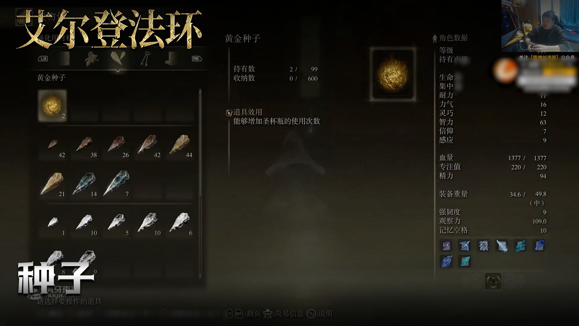 老鬼《艾尔登法环》实况第一百七十九集：种子