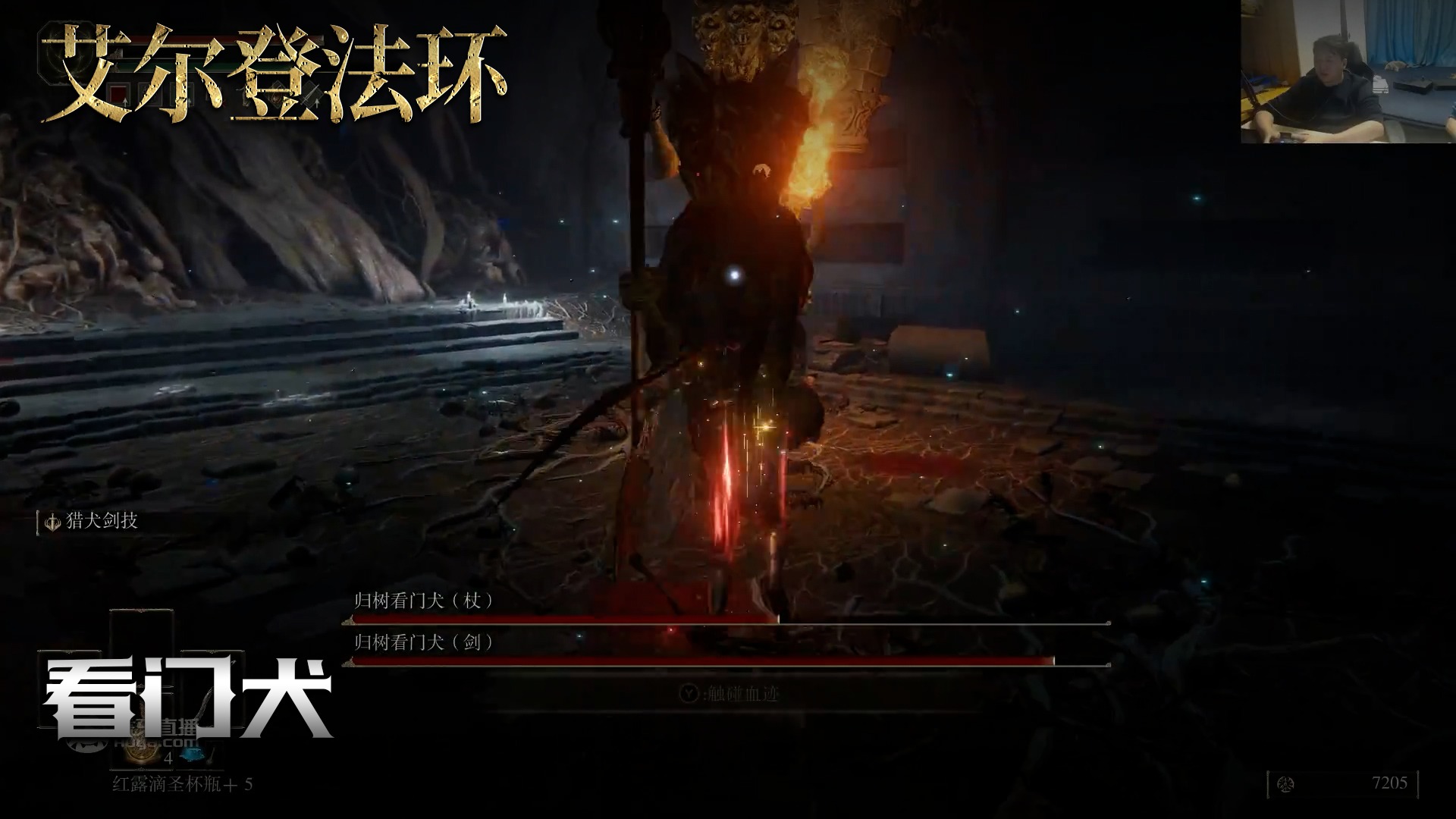 老鬼《艾尔登法环》实况第三十九集：看门犬