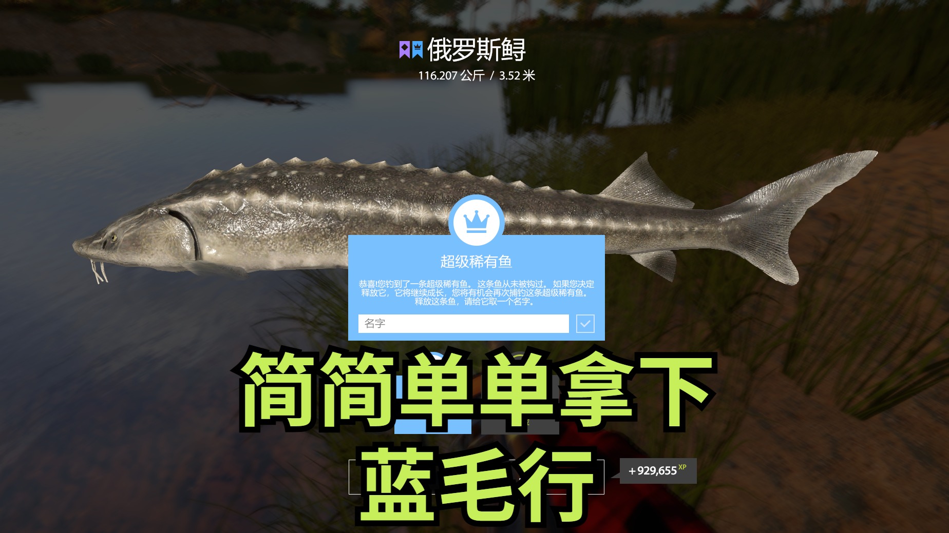 介么大滴蓝毛行！！！