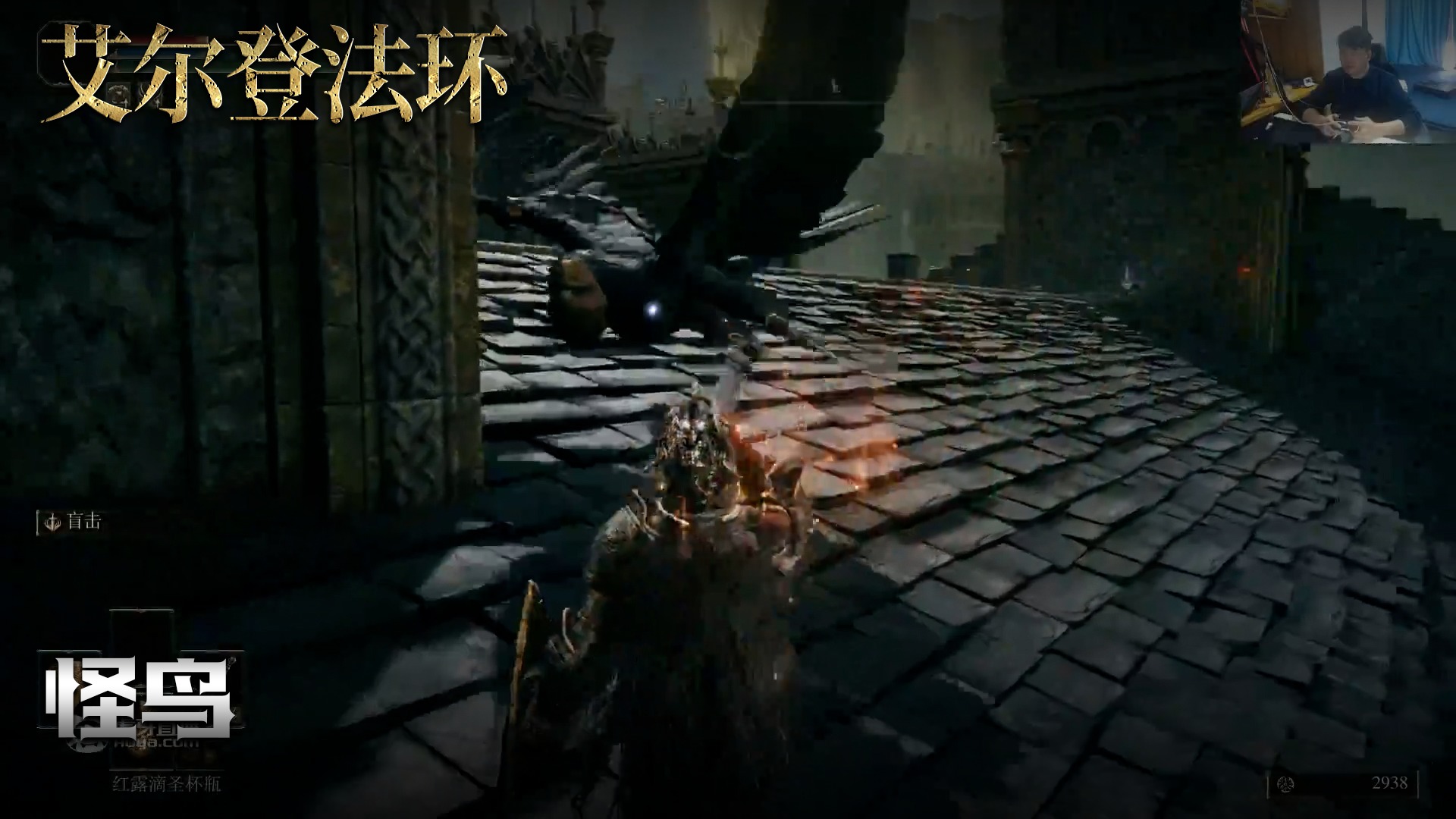 老鬼《艾尔登法环》实况第六集：怪鸟