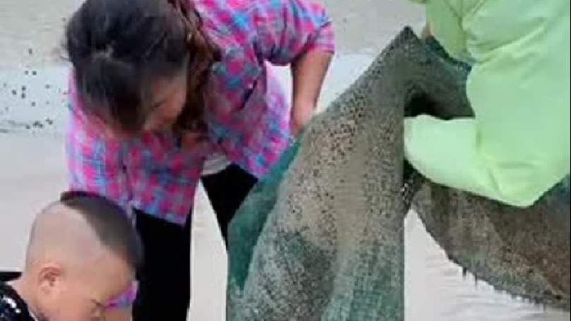 没想到今天的收货又是满满的