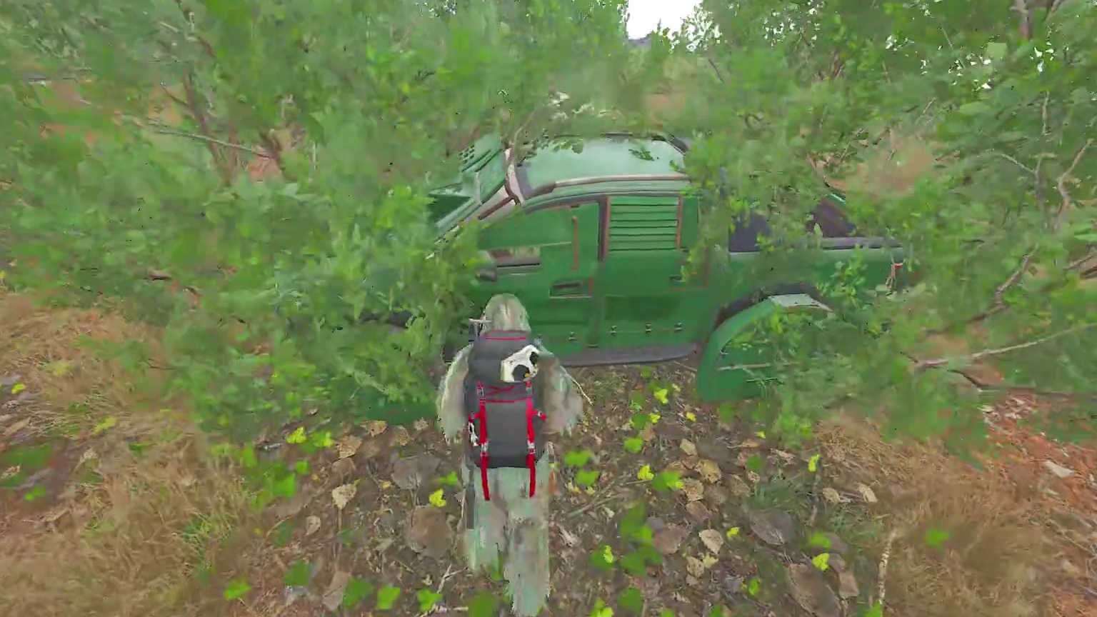 肥肥撤离真舒服