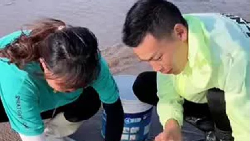 春天就要出去野