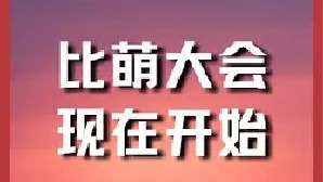 勇敢的人先享受世界，宠物比萌挑战，现在开始