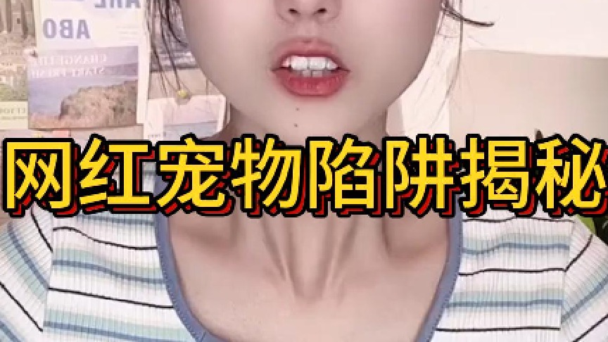 2网红宠物千万别买背后真相简直残忍