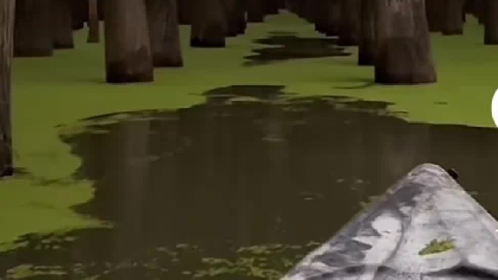 这是抹茶森林吧？！是这个季节才有的美景啊！