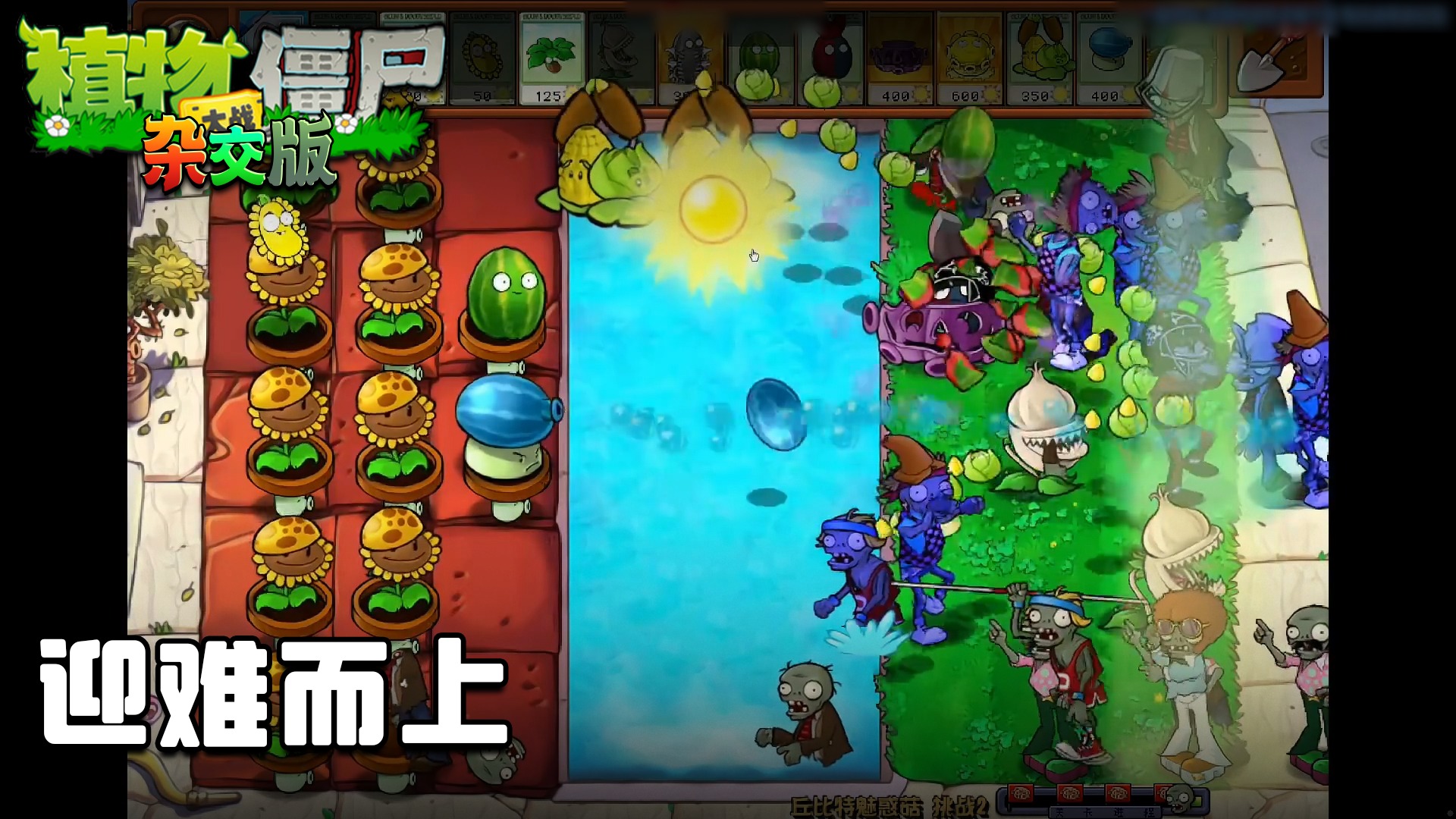 董小飒《植物大战僵尸杂交版》实况第三十二集：迎难而上