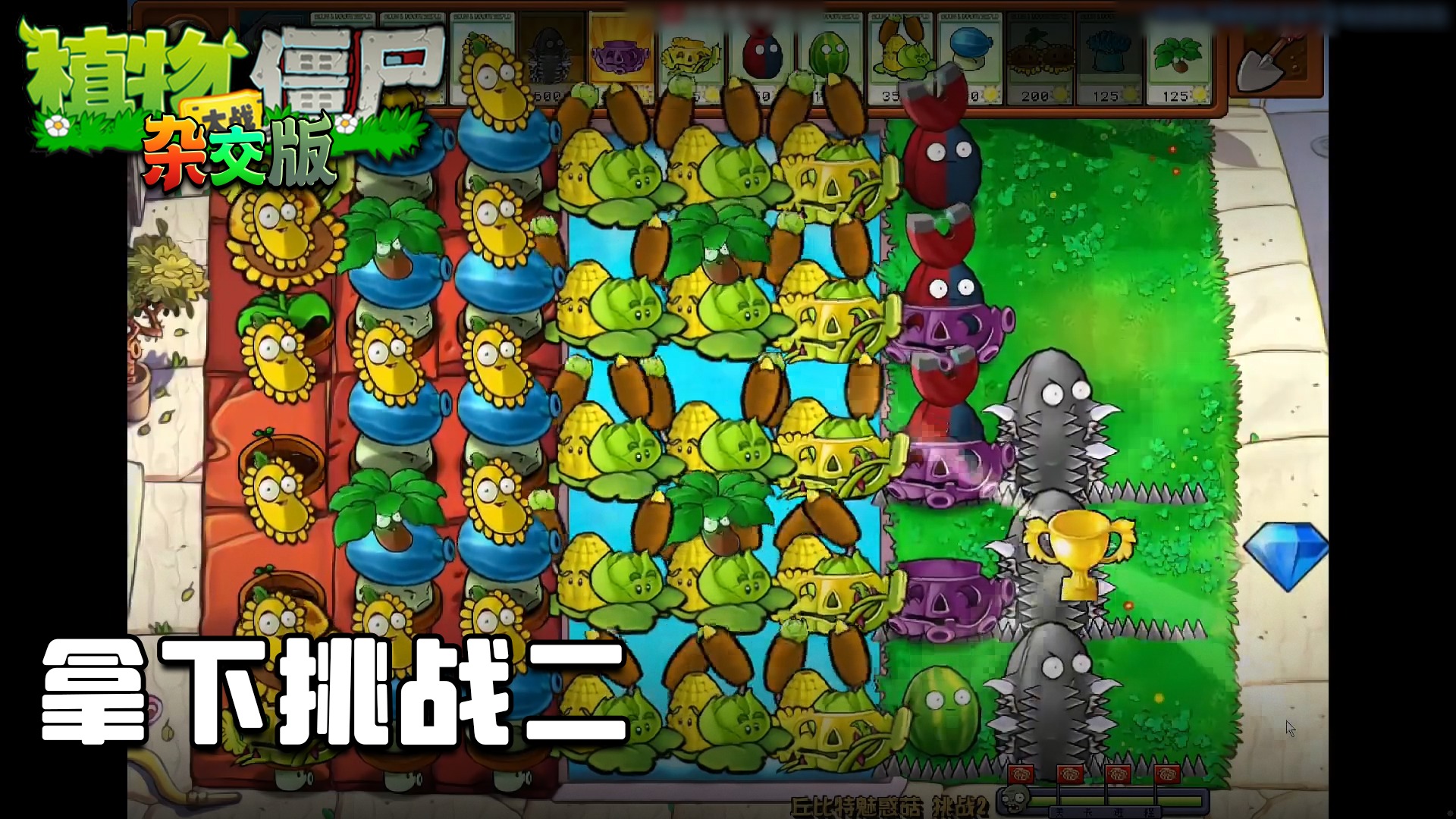 董小飒《植物大战僵尸杂交版》实况第三十三集：拿下挑战二