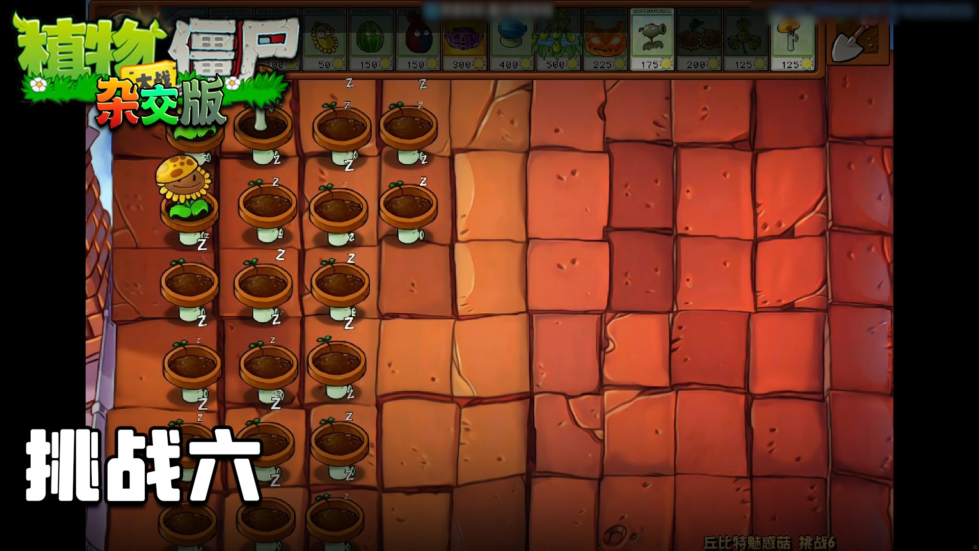 董小飒《植物大战僵尸杂交版》实况第三十五集：挑战六