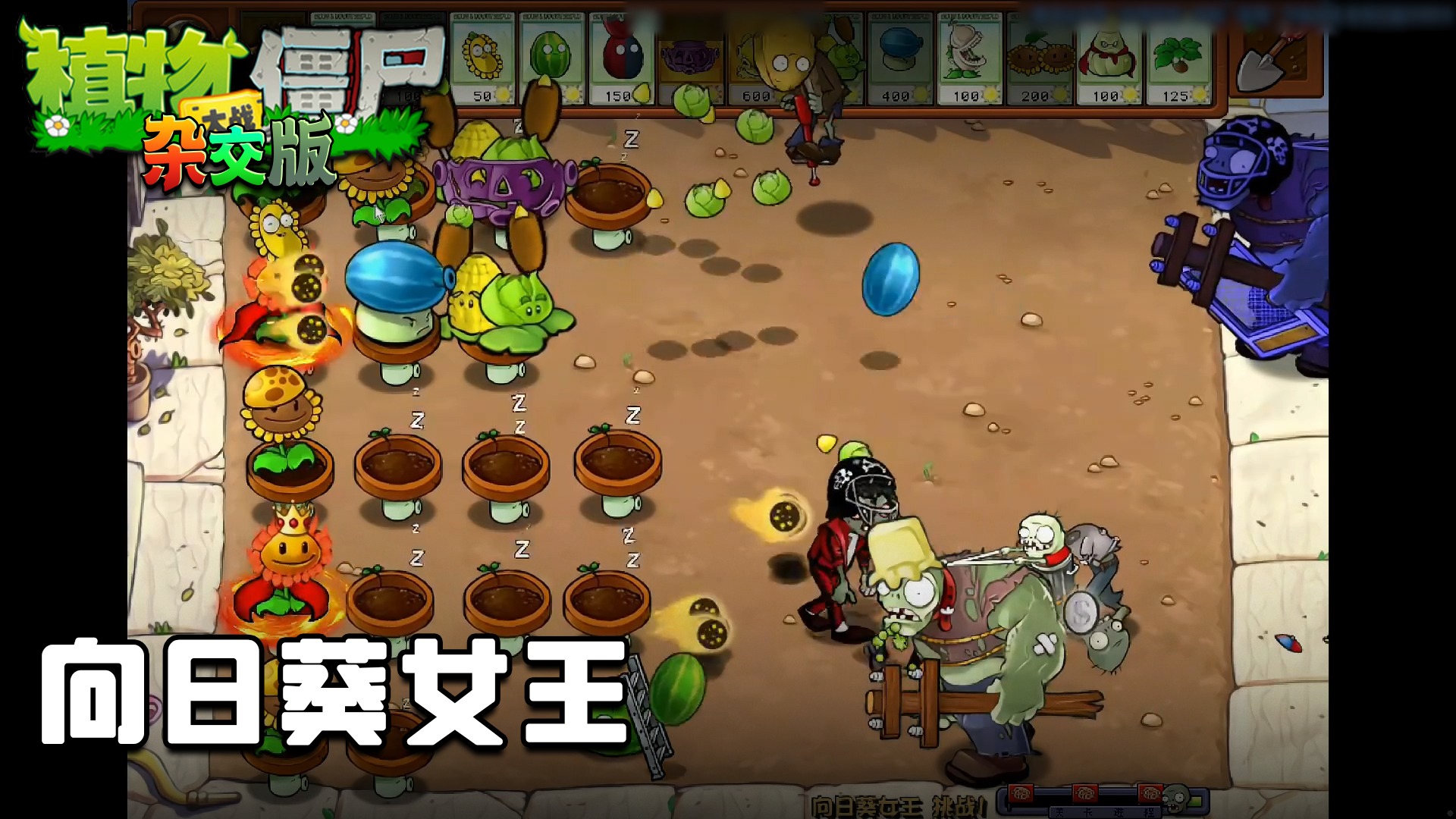 董小飒《植物大战僵尸杂交版》实况第三十六集：向日葵女王
