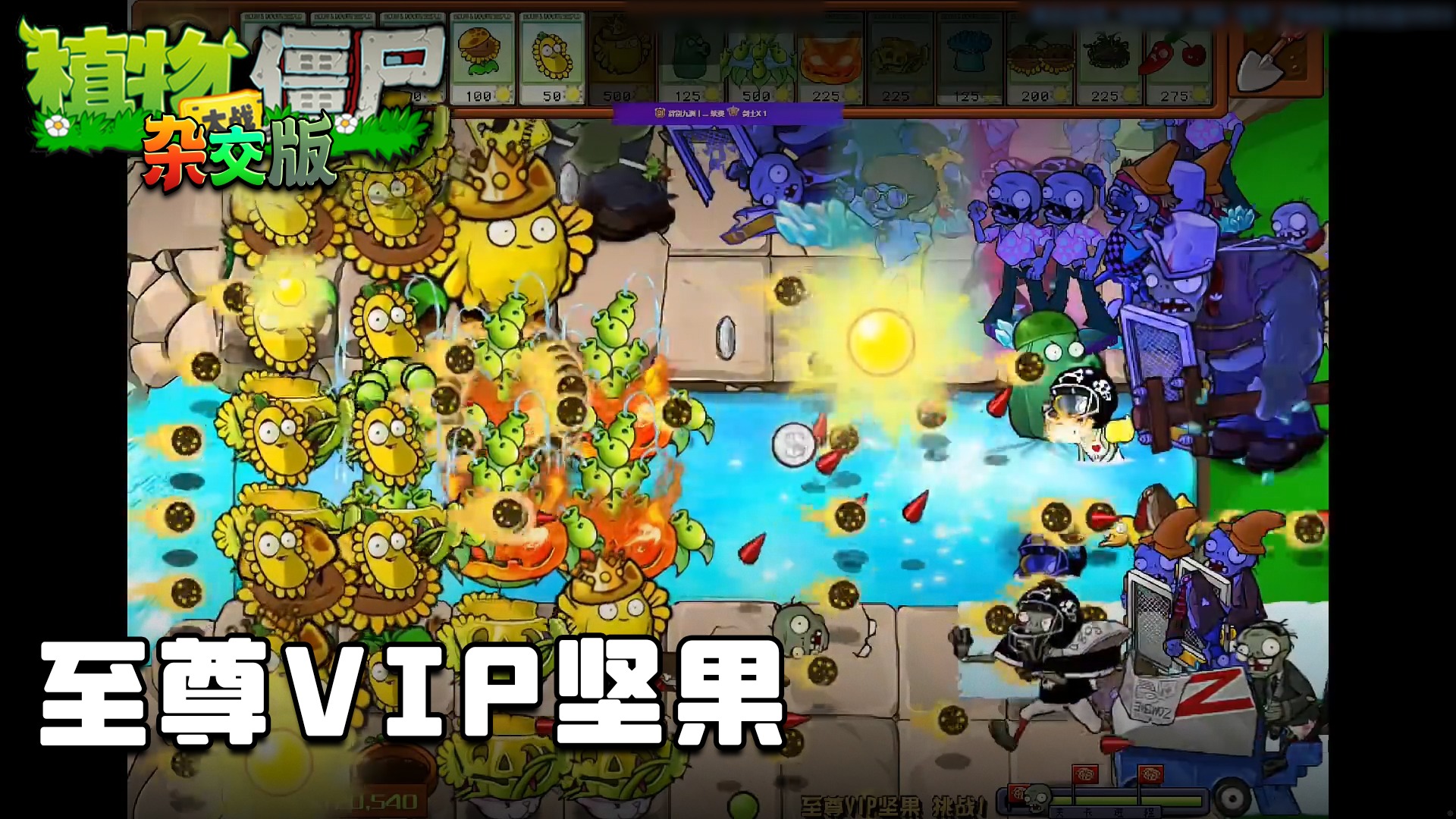 董小飒《植物大战僵尸杂交版》实况第三十七集：至尊VIP坚果