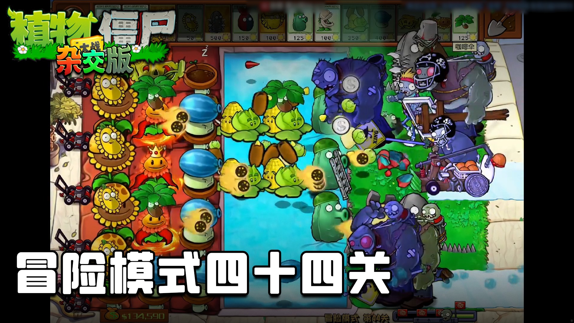 董小飒《植物大战僵尸杂交版》实况第三十九集：冒险模式四十四关