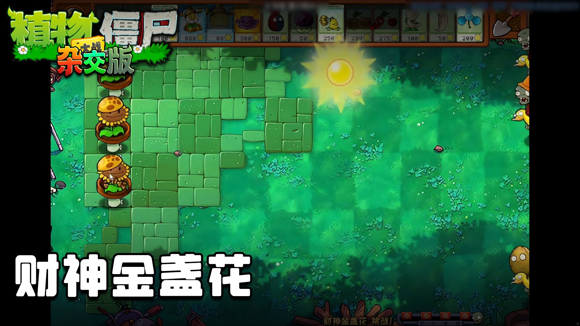 董小飒《植物大战僵尸杂交版》实况第四十集：财神金盏花