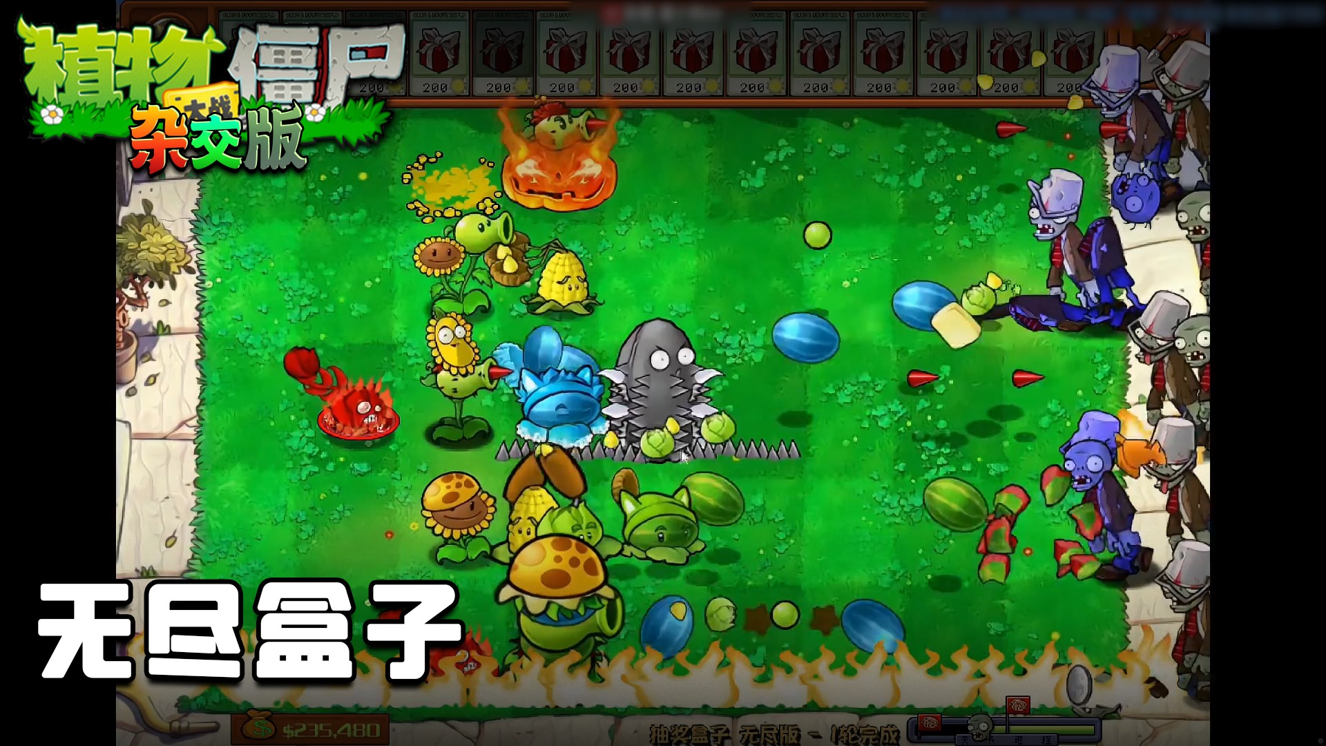 董小飒《植物大战僵尸杂交版》实况第四十五集：无尽盒子