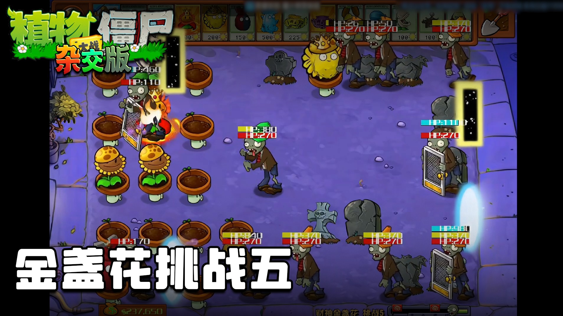 董小飒《植物大战僵尸杂交版》实况第四十六集：金盏花挑战五