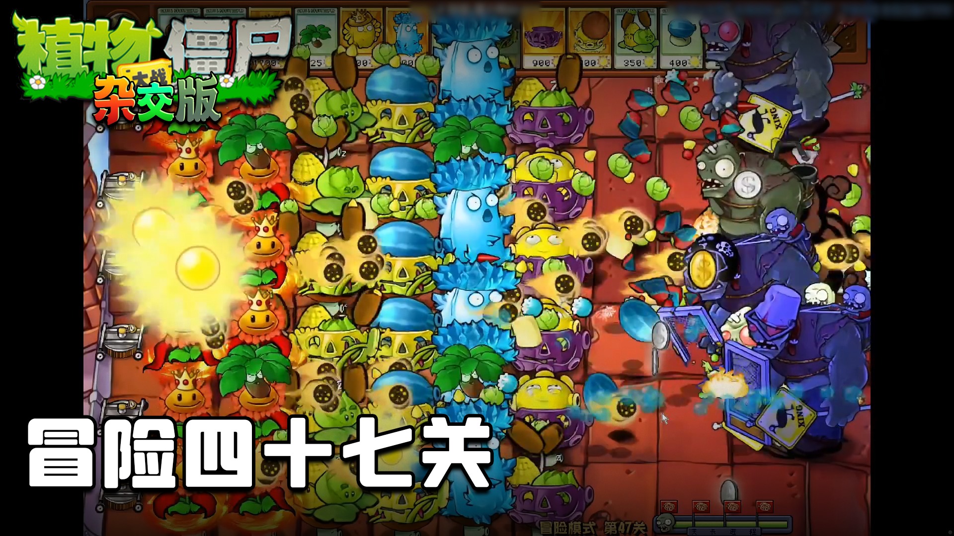 董小飒《植物大战僵尸杂交版》实况第四十九集：冒险四十七关