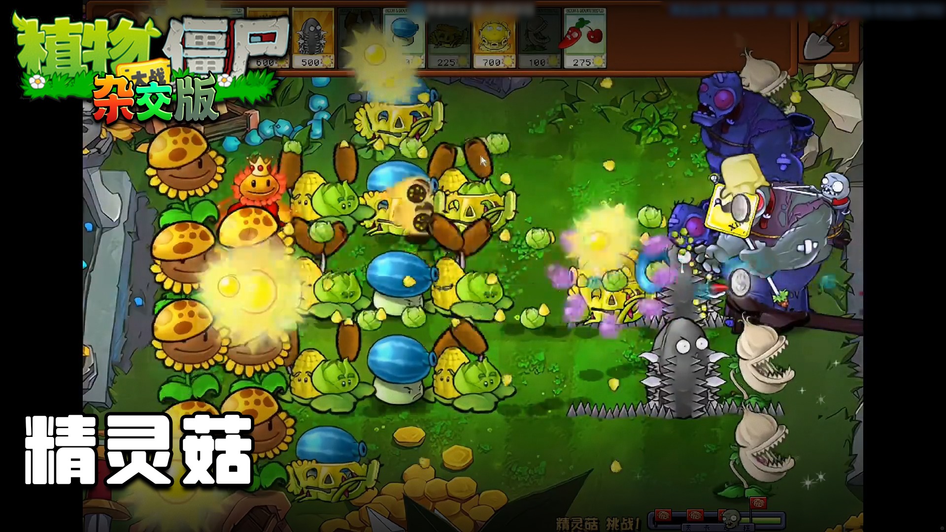 董小飒《植物大战僵尸杂交版》实况第五十一集：精灵菇