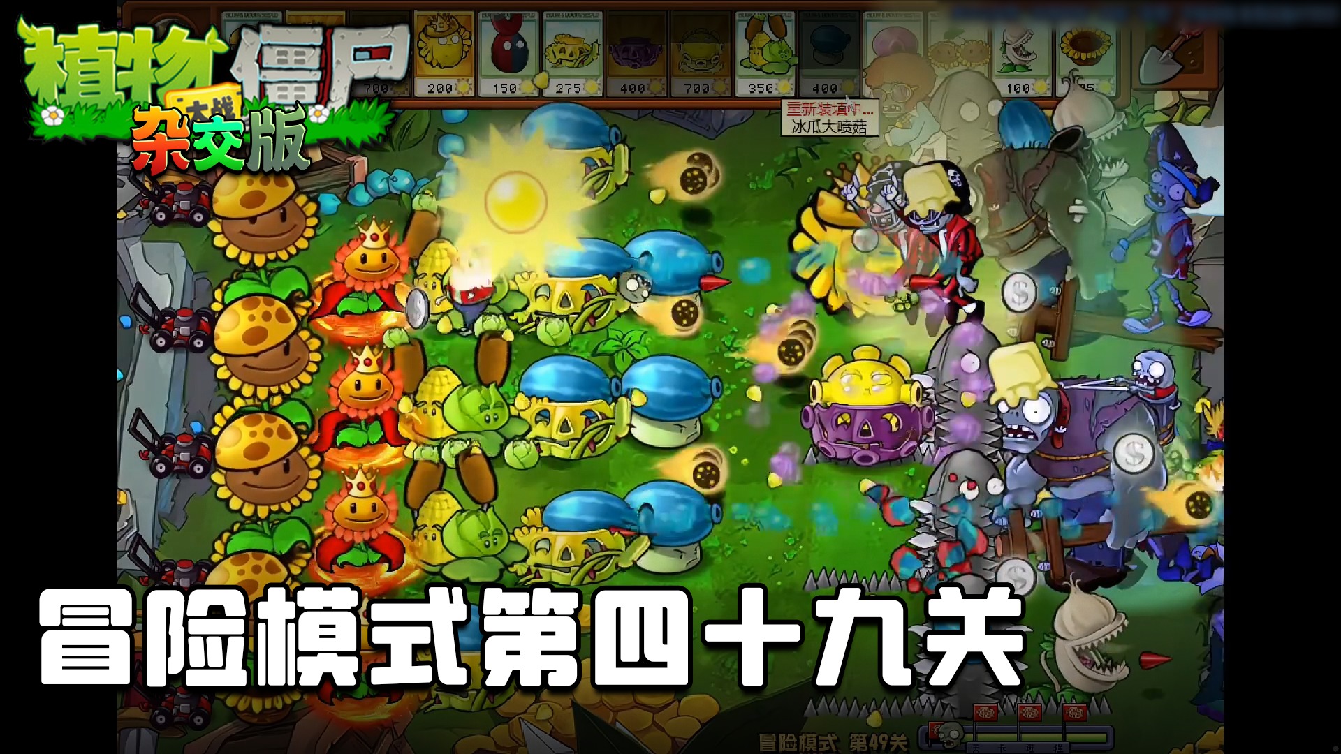 董小飒《植物大战僵尸杂交版》实况第五十二集：冒险模式第四十九关