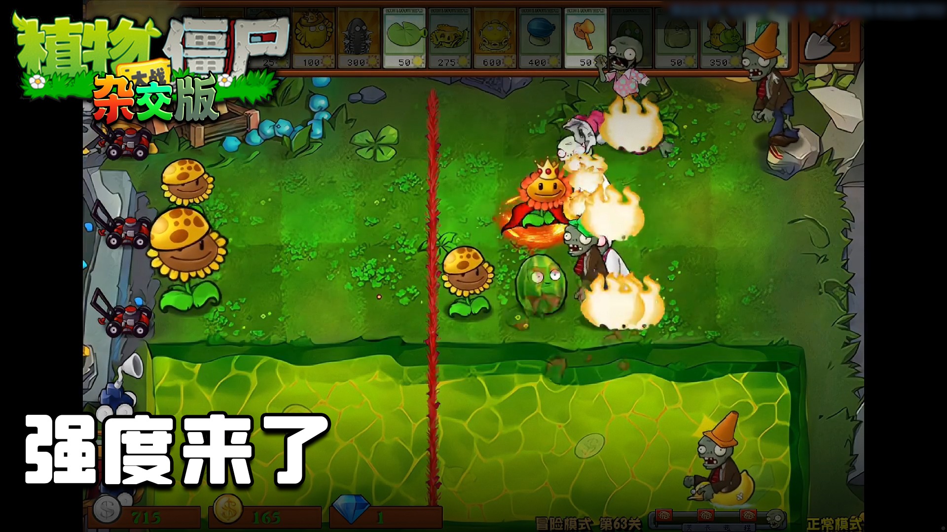 董小飒《植物大战僵尸杂交版》实况第五十八集：强度来了