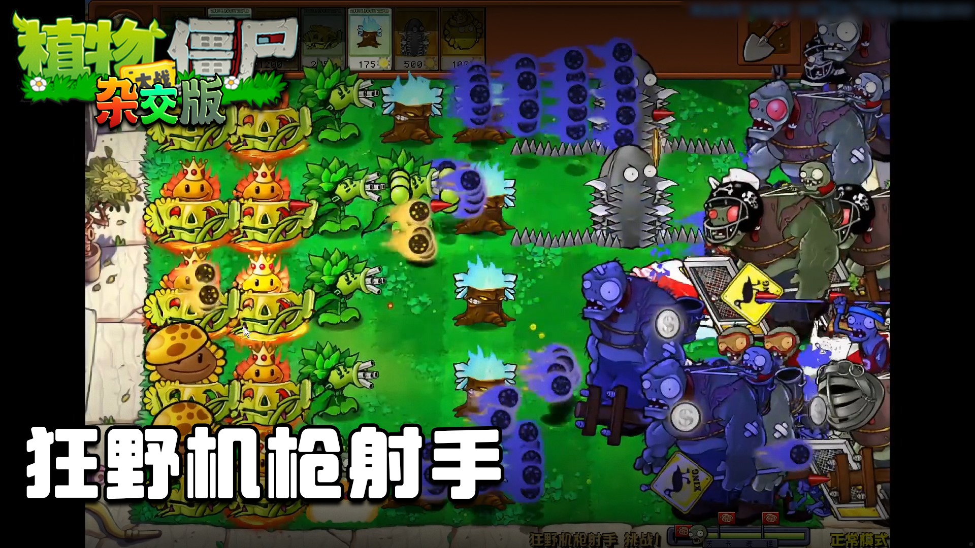 董小飒《植物大战僵尸杂交版》实况第六十一集：狂野机枪射手