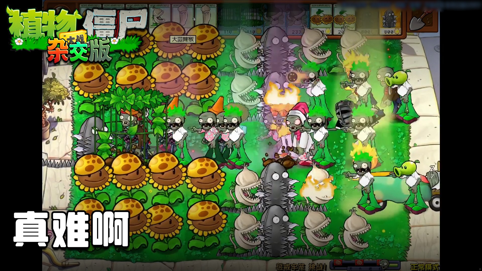 董小飒《植物大战僵尸杂交版》实况第六十五集：真难啊