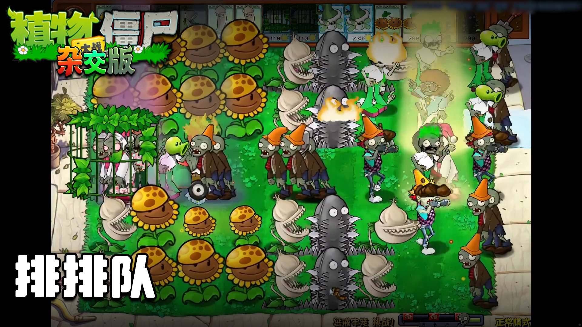 董小飒《植物大战僵尸杂交版》实况第六十八集：排排队
