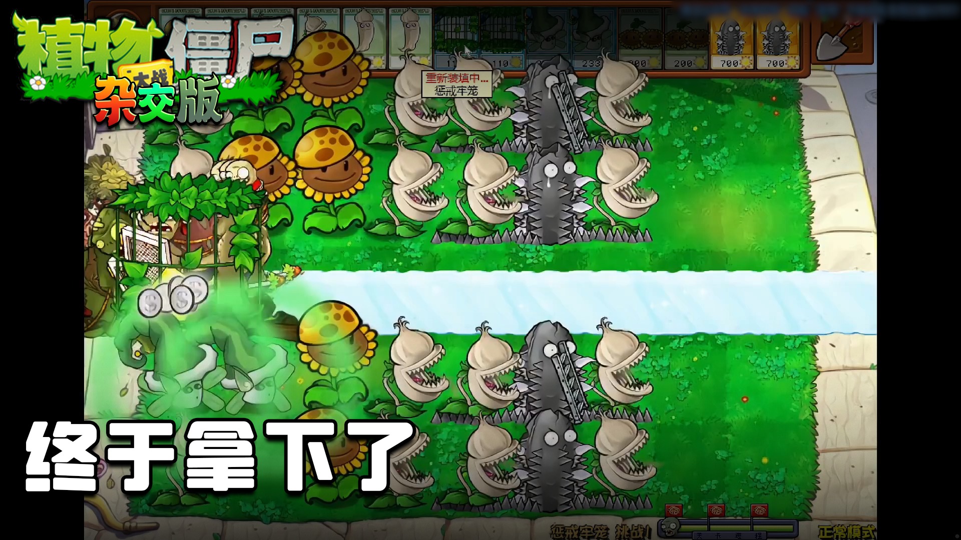 董小飒《植物大战僵尸杂交版》实况第七十三集：终于拿下了